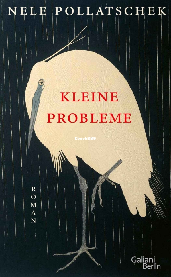 Nele Pollatschek - Kleine Probleme.jpg