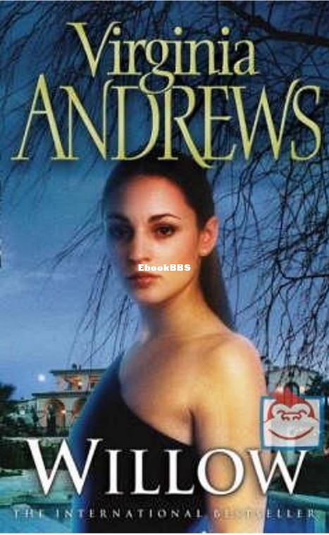 willow 2.JPG