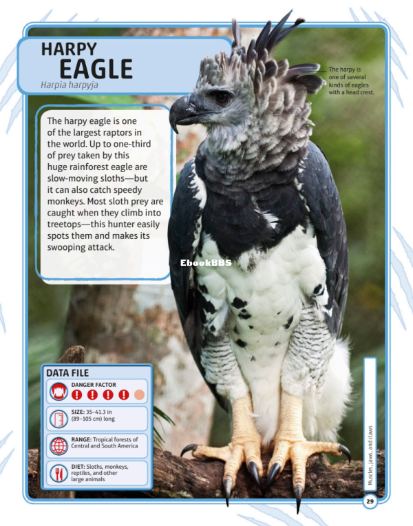 dk-children-nature-s-deadliest-creatures-visual-encyclopedia-pdf - 31.png
