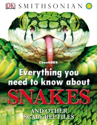 Everything You Need to Know About Snakes and Other Scaly Reptiles.jpg