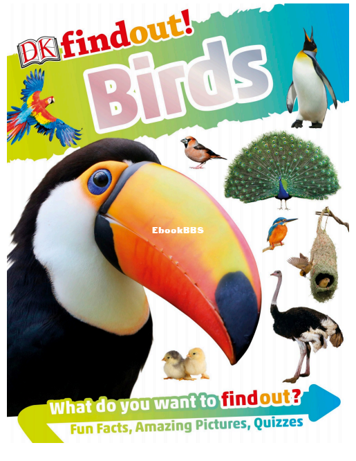 DK Findout! Birds - 1.png