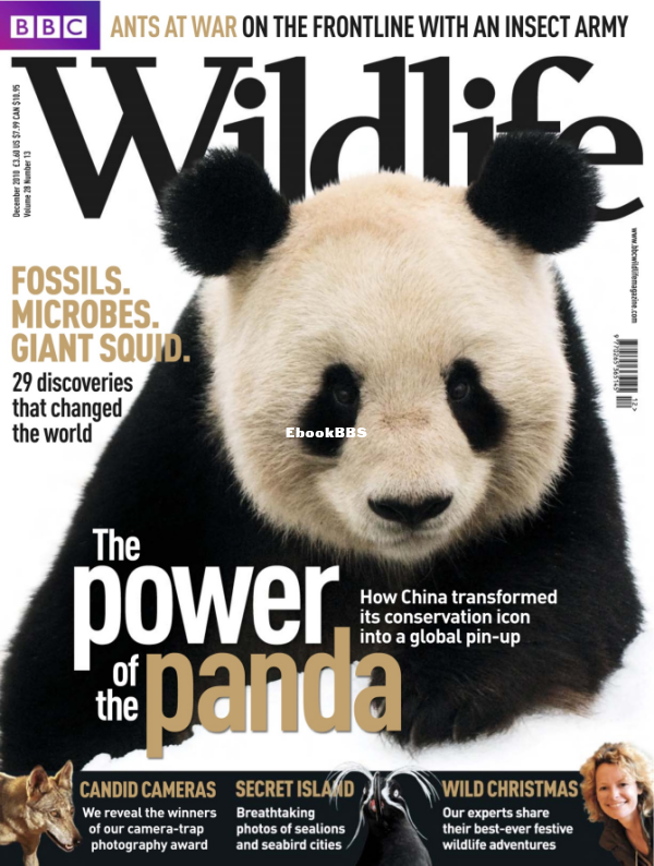 BBC Wildlife v28i13 2010 - 1.png
