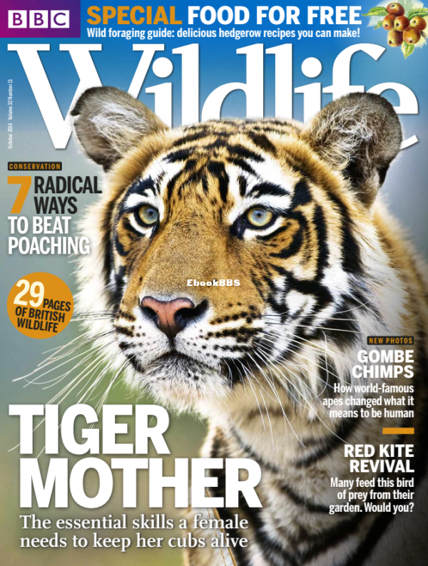 BBC Wildlife 2014 11.png
