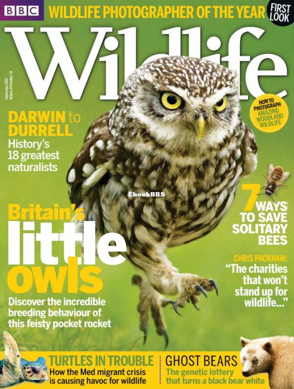 BBC_Wildlife_10_2015 - 1.png