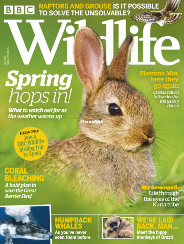 BBC Wildlife 04.2019 - 1.png