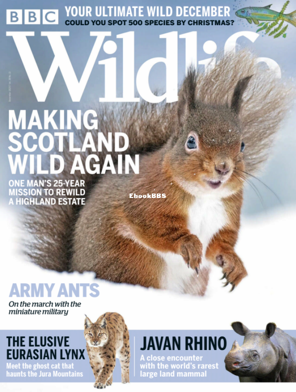 BBC Wildlife 13.2020 - 1.png