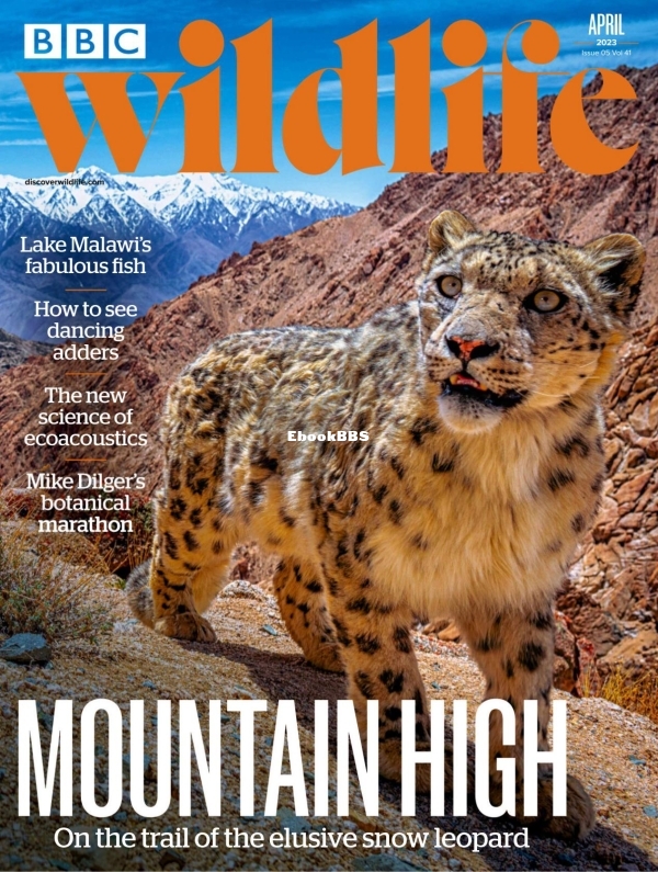 BBC Wildlife 04.2023 - 1.jpg