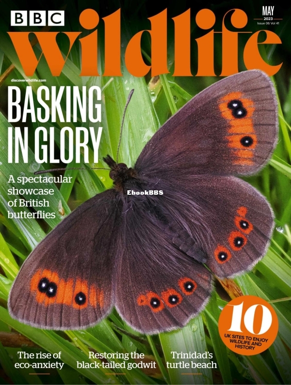 BBC Wildlife 06.2023 - 1.jpg