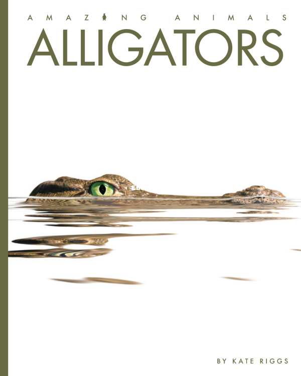 Alligators - Amazing Animals - 1.png