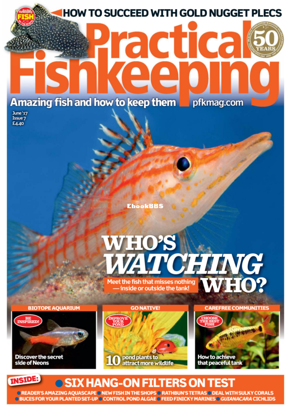 Practical Fishkeeping - June 2017 - 1.png