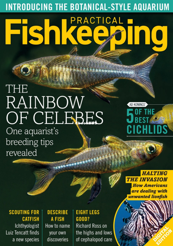 Practical Fishkeeping 11.2020 - 1.png