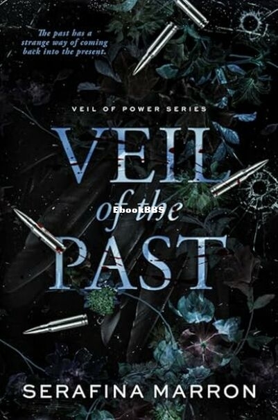 Veil of the Past.jpg
