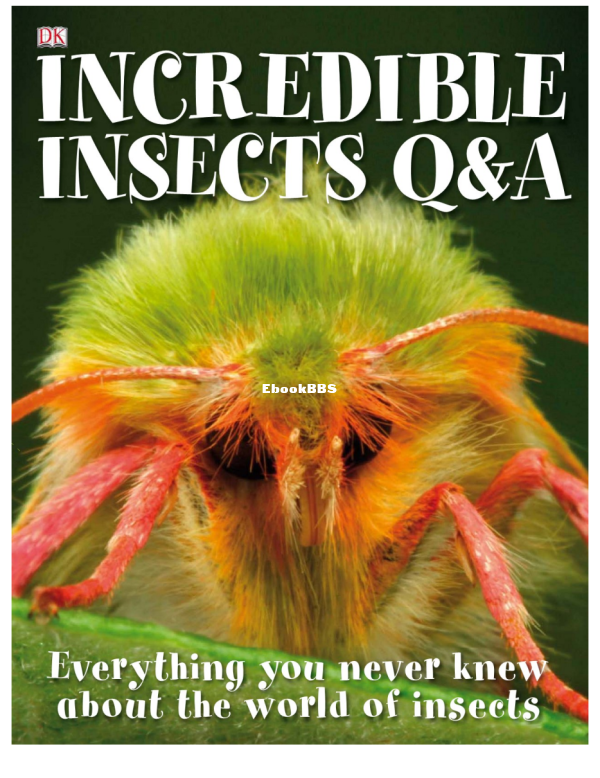 Incredible Insects Q A by DK - 1.png