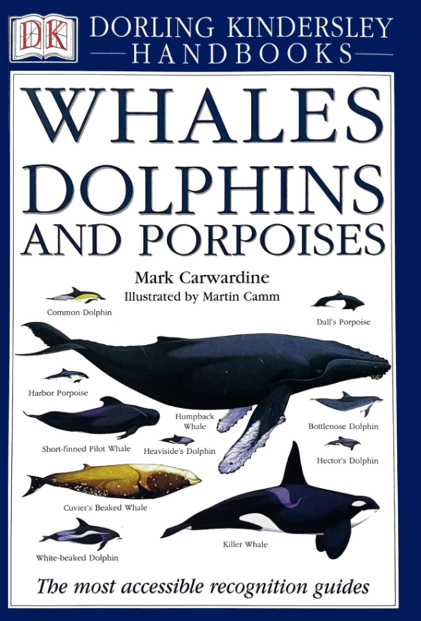 Whales, Dolphins, and Porpoises - 1.png