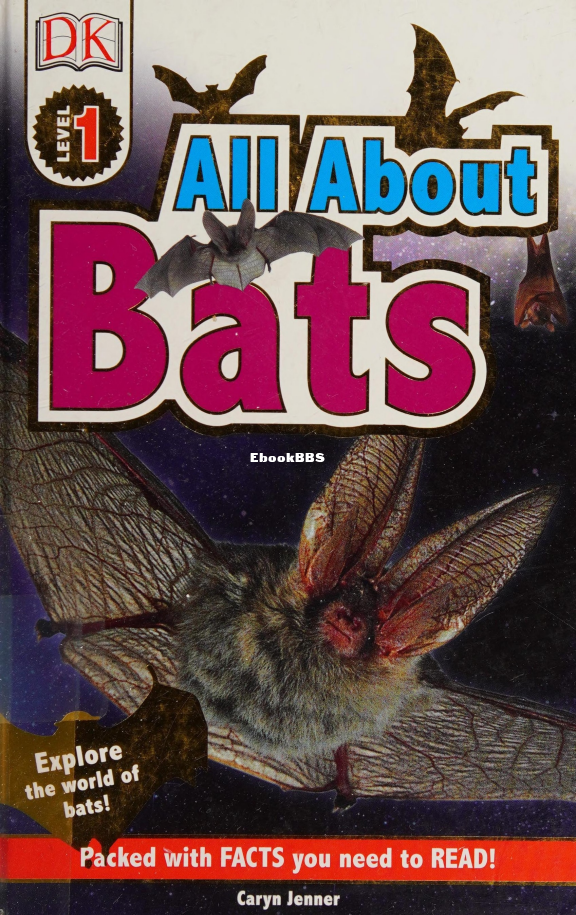 All About Bats - 1.png