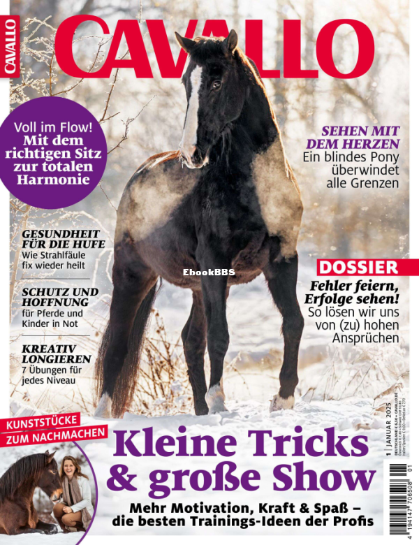Cavallo_1.25 - 1.png