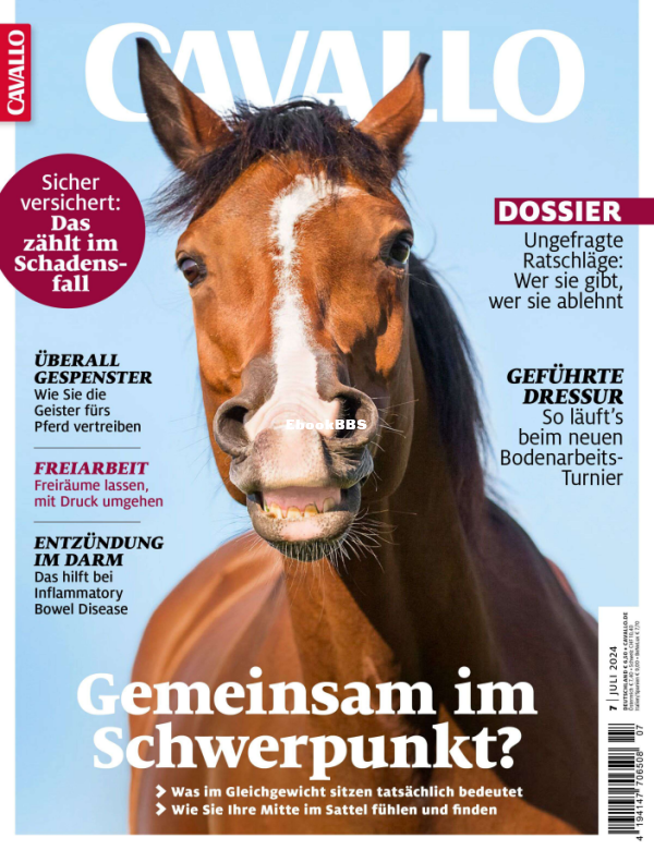 Cavallo_7.24 - 1.png