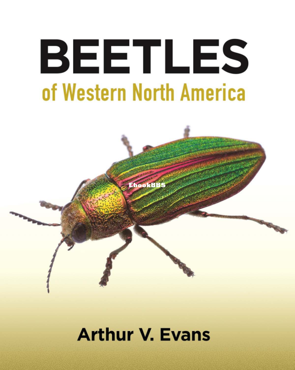 Beetles of Western North America (Arthur V. Evans) - 1.png