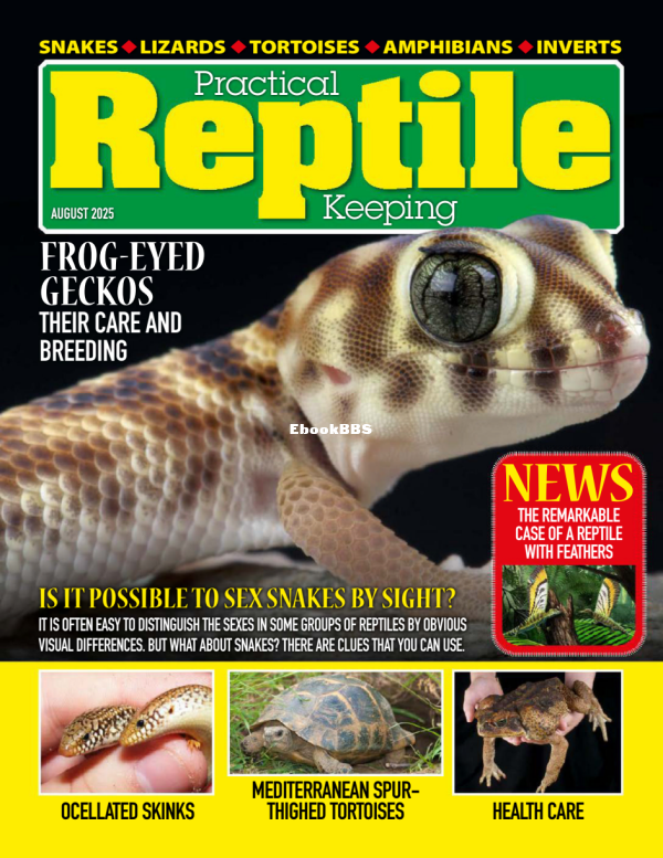Practical_Reptile_Keeping_-_August_2025 - 1.png