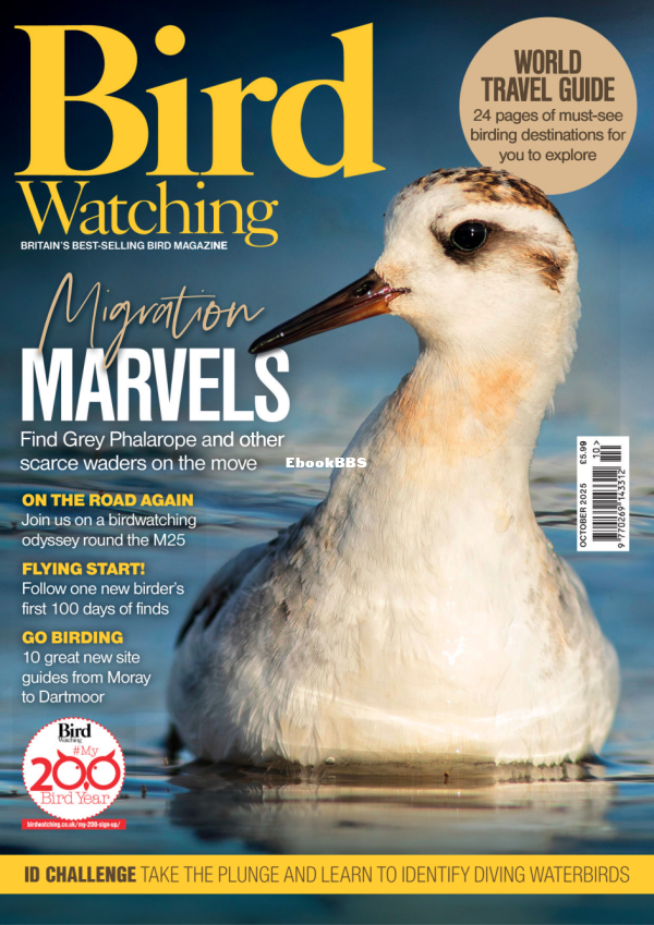 Bird_Watching_UK_-_October_2025 - 1.png