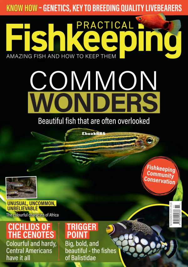 Practical_Fishkeeping_-_November_2025 - 1.png