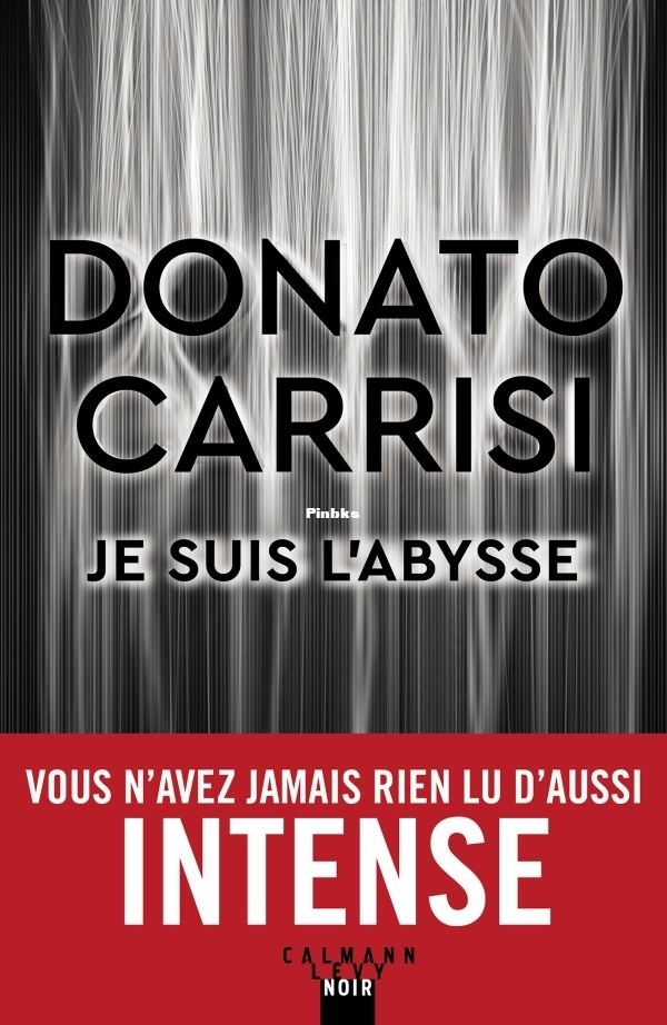 Je.Suis.L.Abysse.2021.Donato.Carrisi..jpg