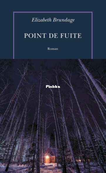 Point de fuite (Elizabeth Brundage) (Z-Library).jpg