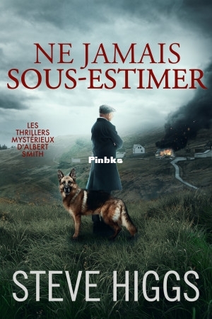 Les thrillers mystérieux dAlbert Smith Tome 3 Ne jamais sous-estimer(Higgs, Ste.jpg