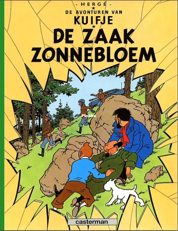 17 de zaak Zonnebloem.JPG
