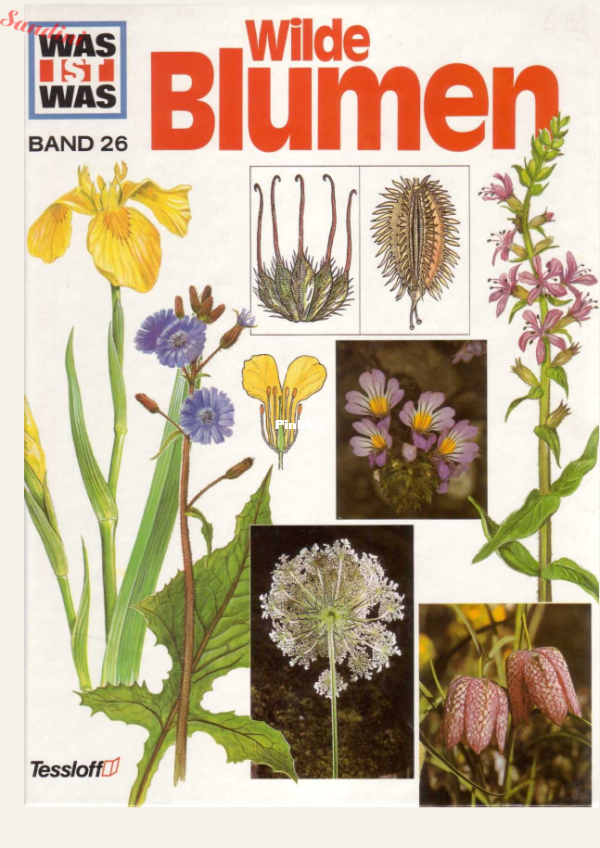 26.Was_Ist_Was_-_026_-_Wilde_Blumen - 1.png