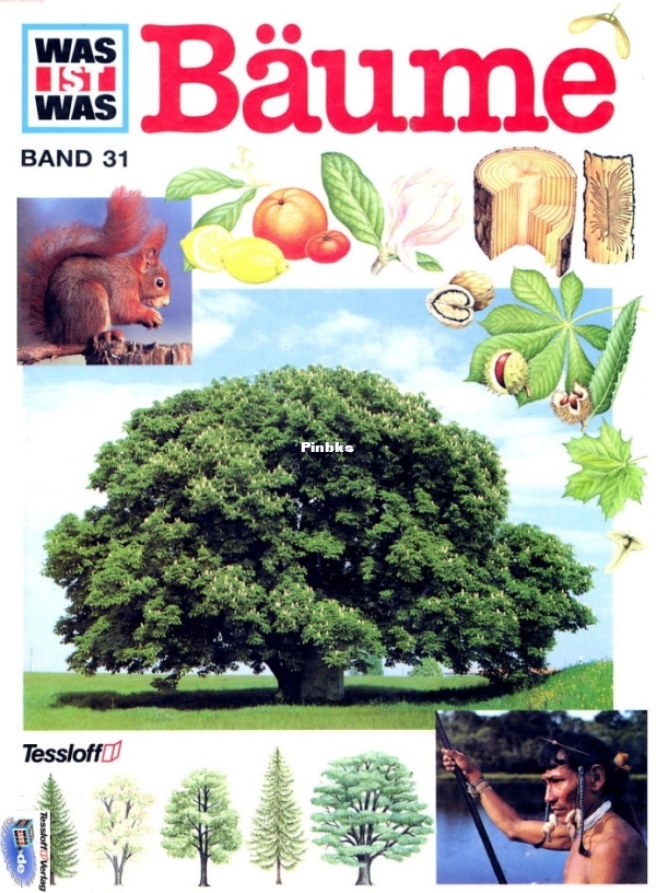 31.Was_ist_Was_-_031_-_Baeume.jpg