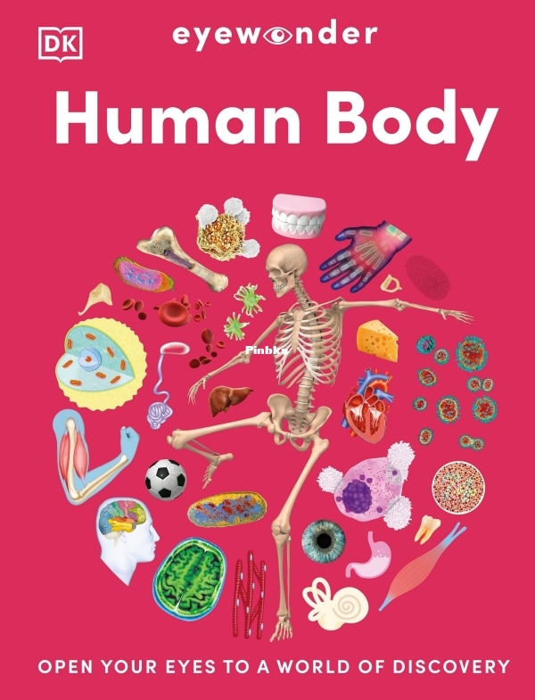 Eyewonder Human Body Open Your Eyes to a World of Discovery.jpg