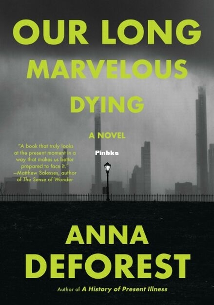 Our Long Marvelous Dying.jpg