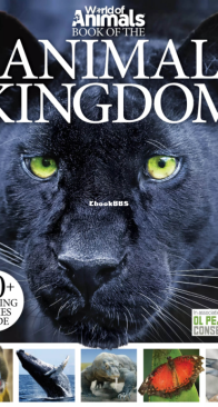 Book of the Animal Kingdom - World of Animals - English