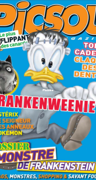 Picsou Magazine 485 - Hachette 2012 - French