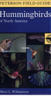 Hummingbirds of North America - Peterson Field Guides - English