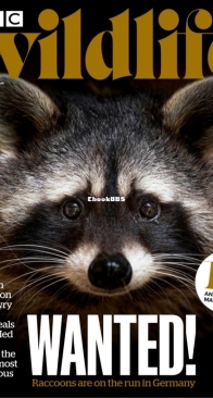 BBC Wildlife 2024 02 - English