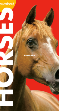 Horses - Curious About - Jill Sherman - English