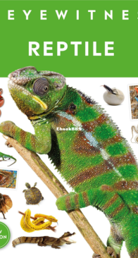 Reptile - DK Eyewitness - Colin McCarthy - English