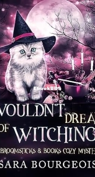Wouldn't Dream of Witching   - Broomsticks and Books 08 - Sara Bourgeois 2023 Eng;ish