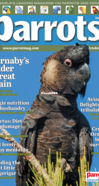Parrots - Issue 333 - 10.2025 - English