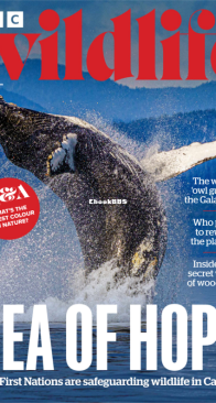 BBC Wildlife 10.2025 - English