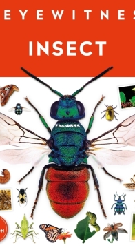 Insect - DK Eyewitness - Laurence Mound - English