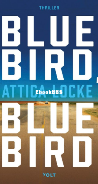 Blue Bird - Attica Locke - Dutch