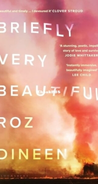Briefly Very Beautiful - Roz Dineen - English