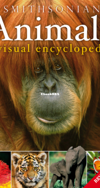 Animals a Visual Encyclopedia - DK Smithsonian - English