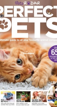 Book of Perfect Pets - Pets Radar - English