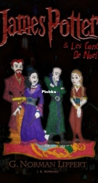 James Potter et Les Trois Contes de Noel - Le Fils d Harry Potter 3 - G. Norman Lippert - French