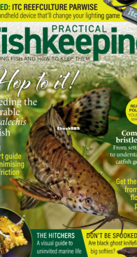 Practical Fishkeeping Magazine - 2023-09 - English