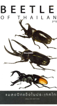 Beetles of Thailand - English